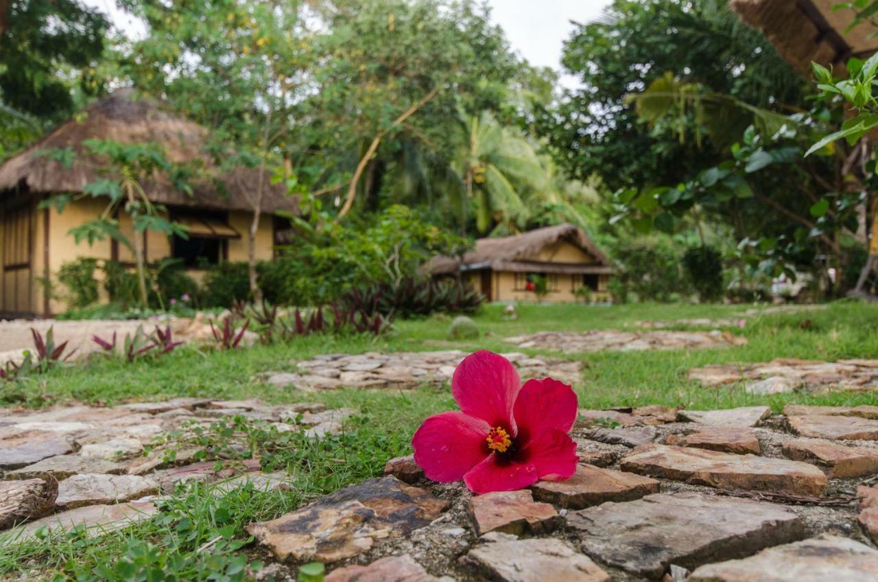 Concepcion Divers Lodge Busuanga Ngoại thất bức ảnh