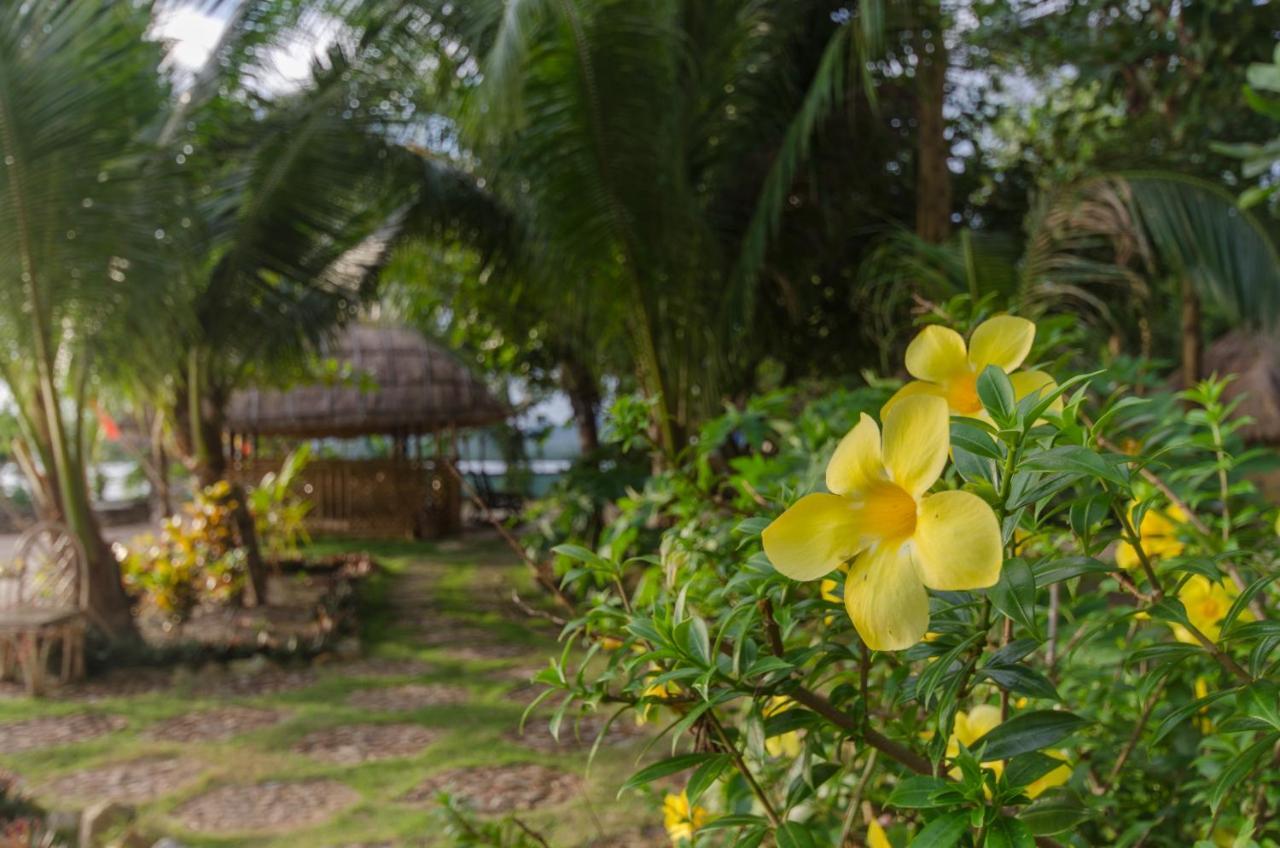 Concepcion Divers Lodge Busuanga Ngoại thất bức ảnh