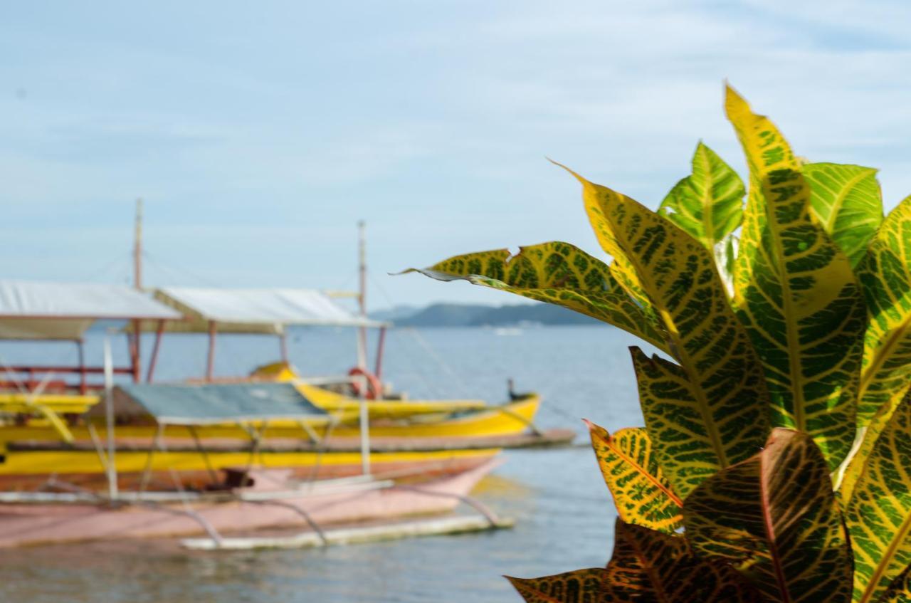 Concepcion Divers Lodge Busuanga Ngoại thất bức ảnh